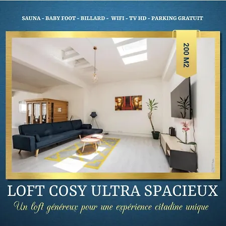 Loft Cosy - Hypercentre - Sauna - 200M2 - Wifi Graulhet Exterior photo